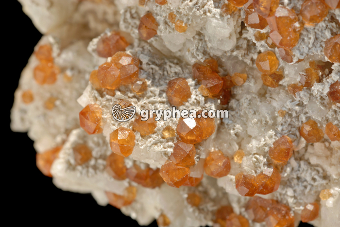 Grenats (cristaux) - gryphea.com